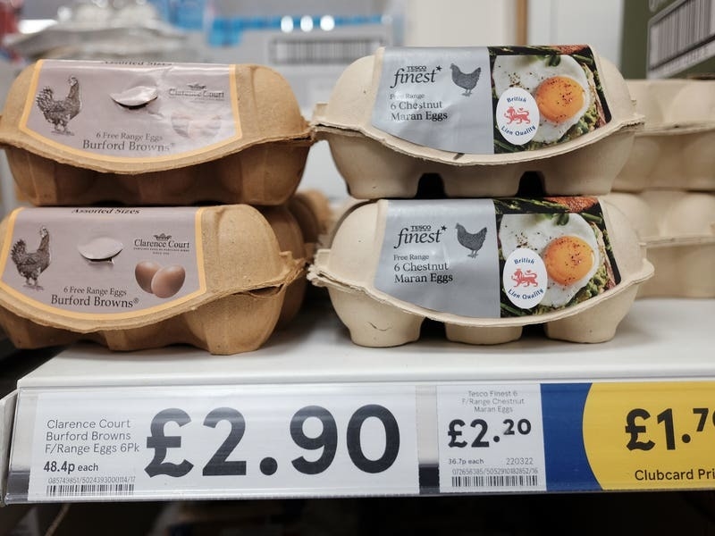 Consumers could see egg shortages ‘within weeks’ without price increase Jersey Evening Post