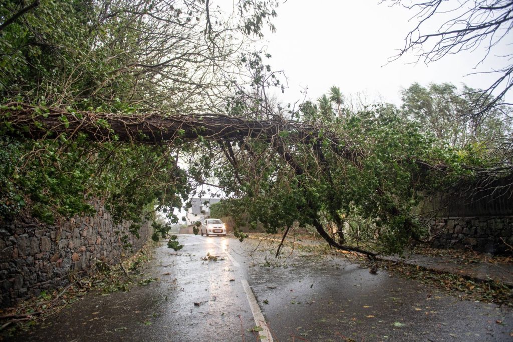 Storm Ciarán: Jersey Schools To Remain Closed On Friday - Jersey ...