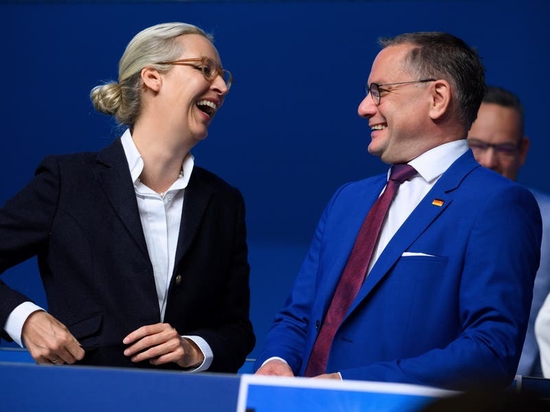 German Far-right Party Re-elects Co-leaders After Election Gains ...