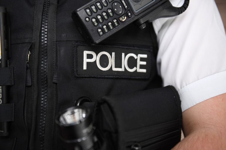 Police Appeal After Dog Bites Child - Jersey Evening Post